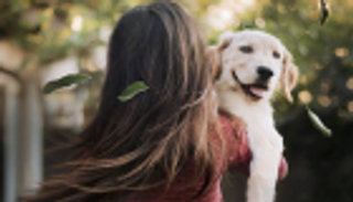 كلب ينقذ طفلة أمريكية من الخطف في فرجينيا