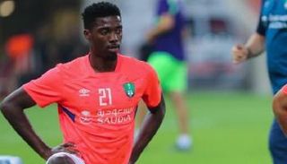 دجانيني تافاريس