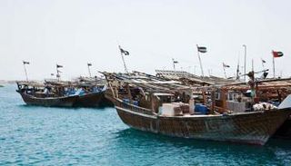 جزيرة دلما في أبوظبي