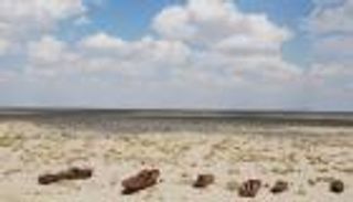 مهرجان للموسيقى في أوزبكستان لحماية بحر آرال