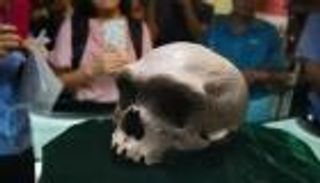 العثور على جمجمة بشرية في الصين تعود إلى آلاف السنين