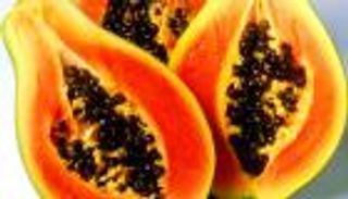 باحث مصري لـ"العين الإخبارية": فاكهة الباباظ تحمي الكبد من التسمم