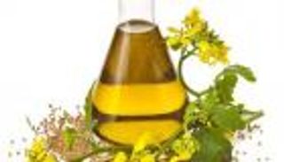 فوائد وأضرار زيت الكانولا