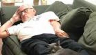 ملجأ قطط يجمع 30 ألف دولار بفضل "قيلولة عجوز"