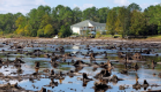 تحذيرات من ارتفاع منسوب مياه المجاري جراء إعصار فلورنس في أمريكا