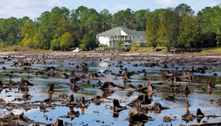 آثار إعصار فلورنس لا تزال مستمرة في أمريكا