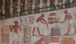 منظر من مقبرة فرعونية توضح عملية جمع حب العزيز