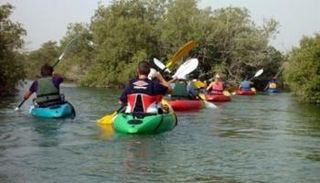 محمية القرم الشرقية الطبيعية بأبوظبي