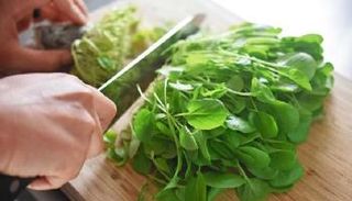 3 أسباب تجعل الجرجير مفيدا للرجال