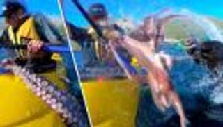 بالفيديو.. فقمة "شريرة" تصفع راكب زورق بأخطبوط