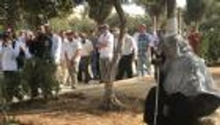 فلسطينيون يحتشدون بالأقصى.. رباط يتحدى  اقتحامات المستوطنين