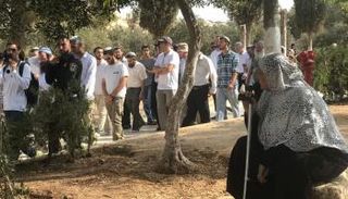 مُسنة فلسطينية تتحدى قطعان المستوطنين في الأقصى