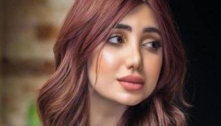 تارة فارس وصيفة ملكة جمال العراق سابقا - صورة أرشيفية