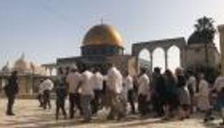 مستوطنون يقتحمون باحات الأقصى مع بزوغ العام الجديد