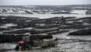 المحار الفرنسي ضحية جديدة للاحترار المناخي