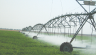 تقنيات الري في المزارع.. أساليب متطورة تعزز الأمن الغذائي بالإمارات