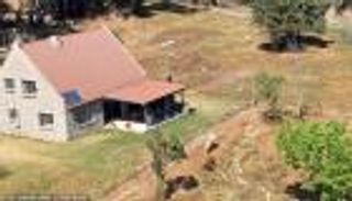 النوم بجوار 77 أسدا طليقا.. مرحبا بك في فندق "ذا ليون هاوس"