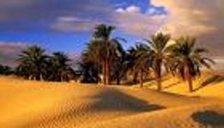 بالصور.. "باب الجنة" وموطن الشعراء في تونس