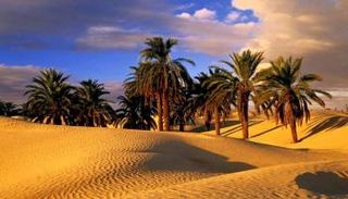 مدينة توزر التونسية - صورة أرشيفية
