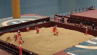 تونس تطرح مناقصة لشراء 100 ألف طن من القمح الصلد