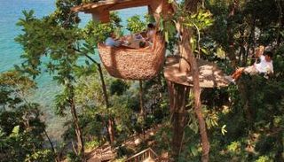مطعم Treepod