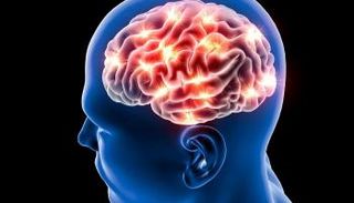 اكتشاف أمريكي لاستعادة مرونة الدماغ عند كبار السن