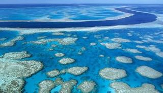 حرارة المحيطات تسجل رقما قياسيا خلال عام واحد