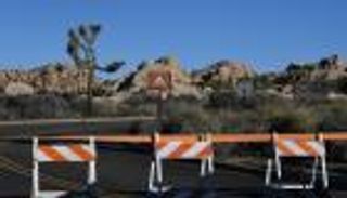 متنزه "جوشوا تري" بكاليفورنيا.. صامد أمام أزمة الميزانية الأمريكية