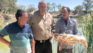 أسماك نافقة في أنهار أستراليا