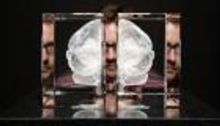 خرافات وحقائق الدماغ.. كتاب جديد يفند أبرز الشائعات عن المخ