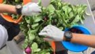 علماء 16 دولة يكشفون عن حمية غذائية "مثالية" لصحة البشر