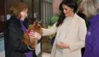 بريطانية تفاجئ زوجة الأمير هاري: أنت سيدة بدينة