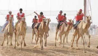متسابقون بمهرجان سلطان بن زايد التراثي  في دورات سابقة- أرشيفية
