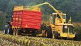  103 مليارات دولار صادرات هولندا الزراعية في 2018