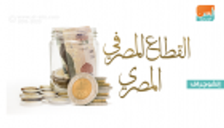 إنفوجراف.. حصاد القطاع المصرفي المصري في 4 سنوات