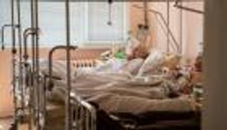 فيروس القوارض يحصد أرواح 14 في الأرجنتين