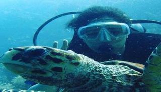 فيروز أصغر مشرفة غطس في مصر