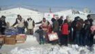 976 مليون دولار مساعدات إماراتية للاجئين السوريين منذ 2012 