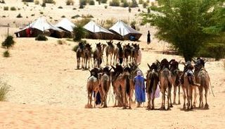 قرية موريتانية منسيّة تسهم في إحياء تقاليد البدو