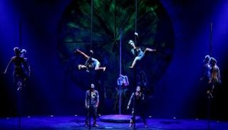 أحد عروض سيرك 