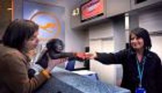 شمبانزي يتعرض للتنمر في ألمانيا.. ومطالبات بإعادته إلى موطنه