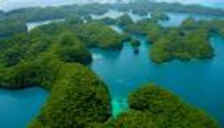 قناديل البحر تنعش السياحة في أرخبيل بالاو بالمحيط الهادئ