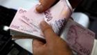 موجة الإفلاس بين الشركات التركية تضرب قطاع الدواجن