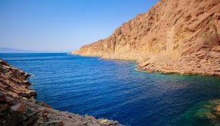 مشروع "نيوم - الوجهة المستقبلية" للمبدعين في العالم