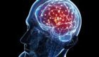 السر في هرمون الشبع.. ما نأكله يؤثر على الذاكرة