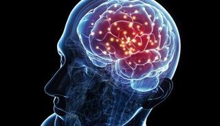 هرمون الشبع في منطقة قرن آمون يؤثر على احتمالات الإصابة بمرض ألزهايمر