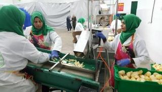 جامعيات في غزة يكافحن البطالة بالبطاطس