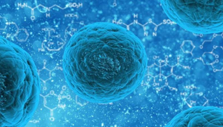 انخفاض تكاثر الخلايا في الشيخوخة يساعد في الحماية من انتشار السرطان