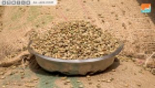 حكاية الماعز والراهب.. تاريخ القهوة الإثيوبية