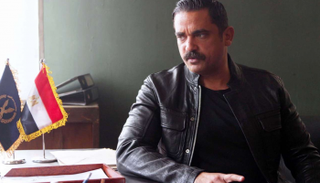 الممثل المصري أمير كرارة